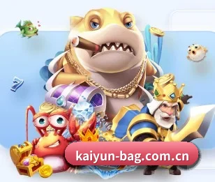 关于我们 - 体育资讯内容服务(kaiyun)